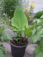2010.06.29 007.webp