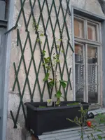 2010.06.29 009.webp