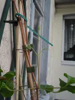 2010.06.29 010.webp