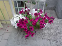 2010.06.29 011.webp