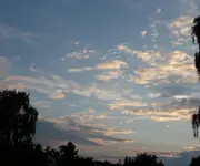 P1040270.webp