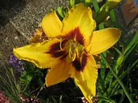 IMG_intermediar_1024x768.webp