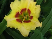 IMG_unbekannt_1024x768.webp