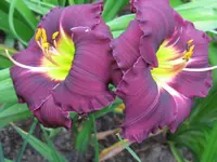 IMG_fata morgana5_1024x768.webp