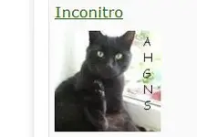 Unbenannt.webp