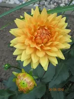 Bild 140.webp