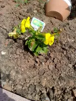 30062010808.webp
