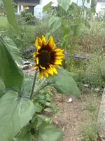 30062010805.webp