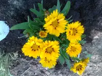30062010800.webp