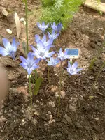 30062010809.webp
