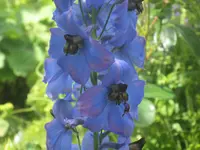 037.webp