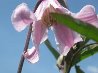 023.webp