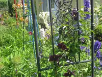 008.webp