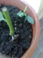 30062010812.webp