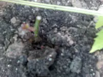 30062010813.webp
