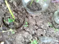 30062010814.webp