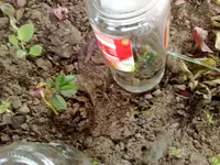 30062010815.webp