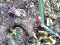 30062010816.webp