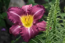 blog_9533-unchartered-water.webp