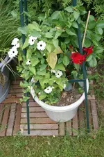 DSC03262.webp