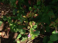 DSCF0466.webp