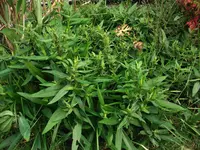 DSCF0470.webp