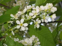 IMG_1777-1800.webp