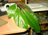 Ranke Garage (4).webp