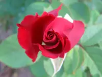 IMG_1714.webp