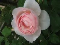Heritage 2010 06 13 2.webp