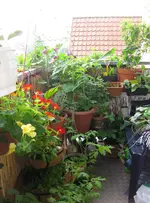 Balkon.webp