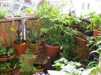 Balkon (2).webp