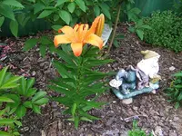 DSCF3627.webp
