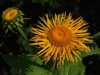 Bild 157.webp
