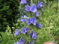 Bild 144.webp