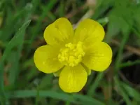 27642.webp