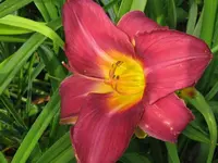 IMG_käthe wächter1_1024x768.webp