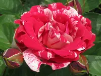 IMG_6759_1024x768.webp