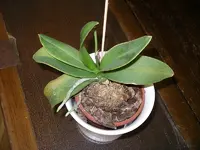 IMGP0069.webp