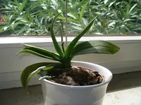 IMGP0068.webp