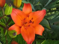 27669.webp