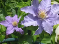 023.webp
