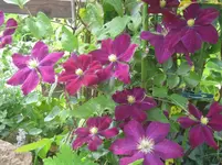 026.webp