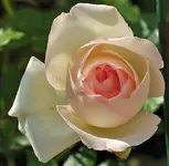 DSC_0606_3.webp