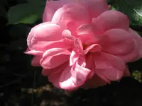 029.webp