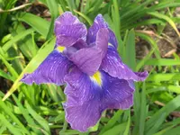 IMG_6766_1024x768.webp