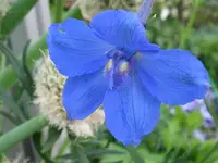 IMG_6767_1024x768.webp