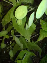 13156324.webp