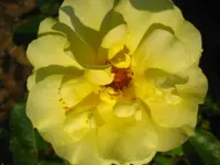 IMG_1696.webp