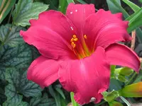 IMG_sämling_1024x768.webp